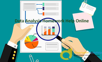 Data Analysis Assignment Services