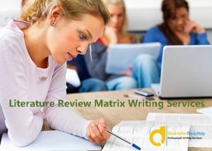 Literature Review Matrix Writing Help